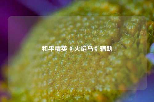 和平精英《火焰鸟》辅助  第1张